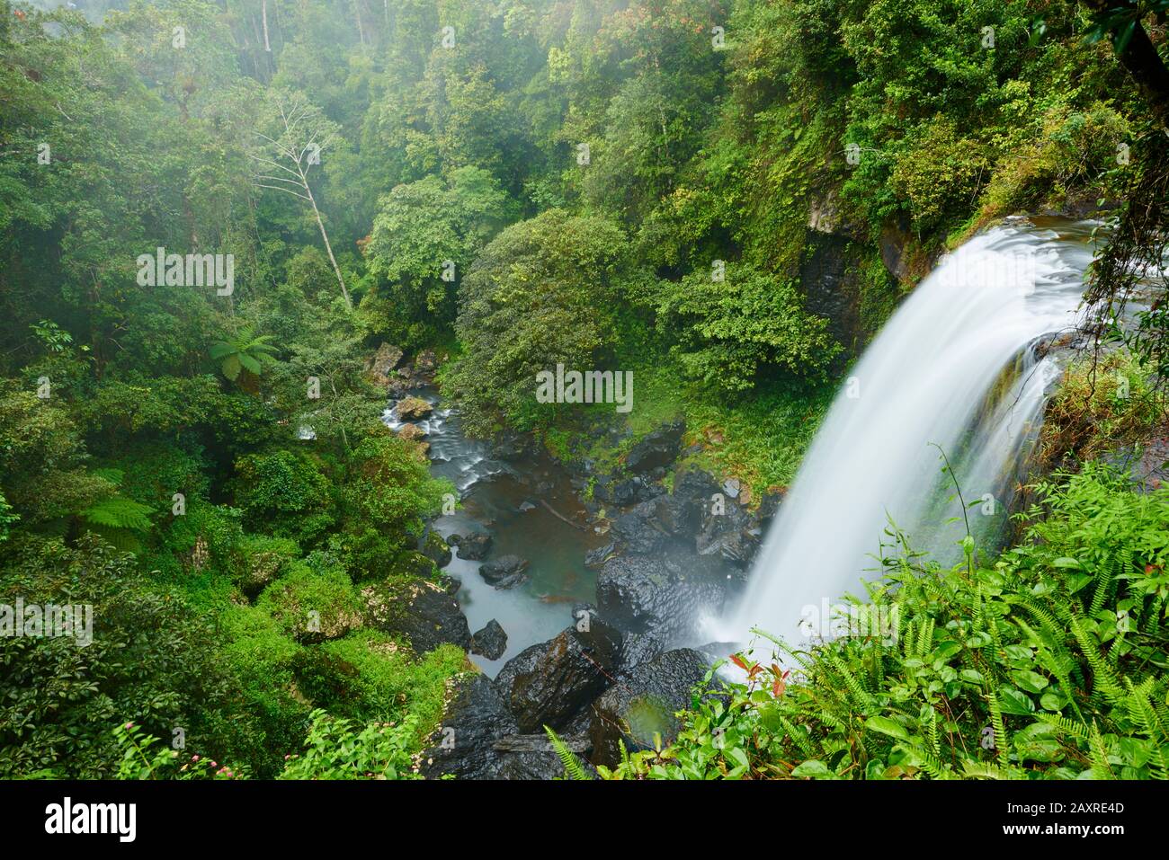 Landscape at the Zillie Falls, Atherton Tableland, Spring, Queensland, Australia Stock Photo