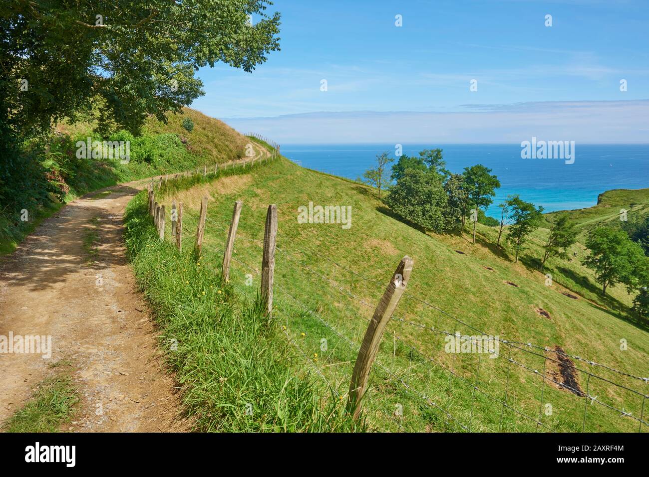 Landscape, footpath, Way of St. James, Geopark Costa Vasca between Zumaia and Itxaspe, Basque Country, Spain Stock Photo