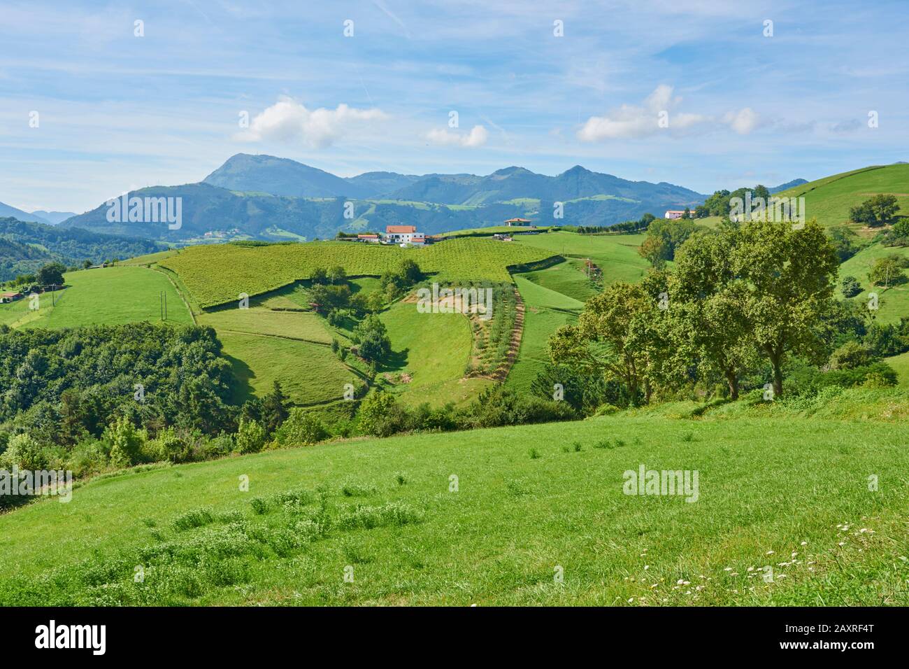 Panoramic landscape in the fields and mountains on the Way of St. James, Basque Country, Spain Stock Photo