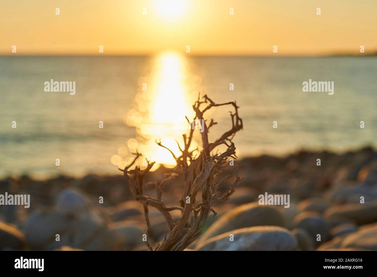 Landscape of the beach at Stomio, Larissa coast, Agios Nikolaos Municipality, Crete, Greece Stock Photo