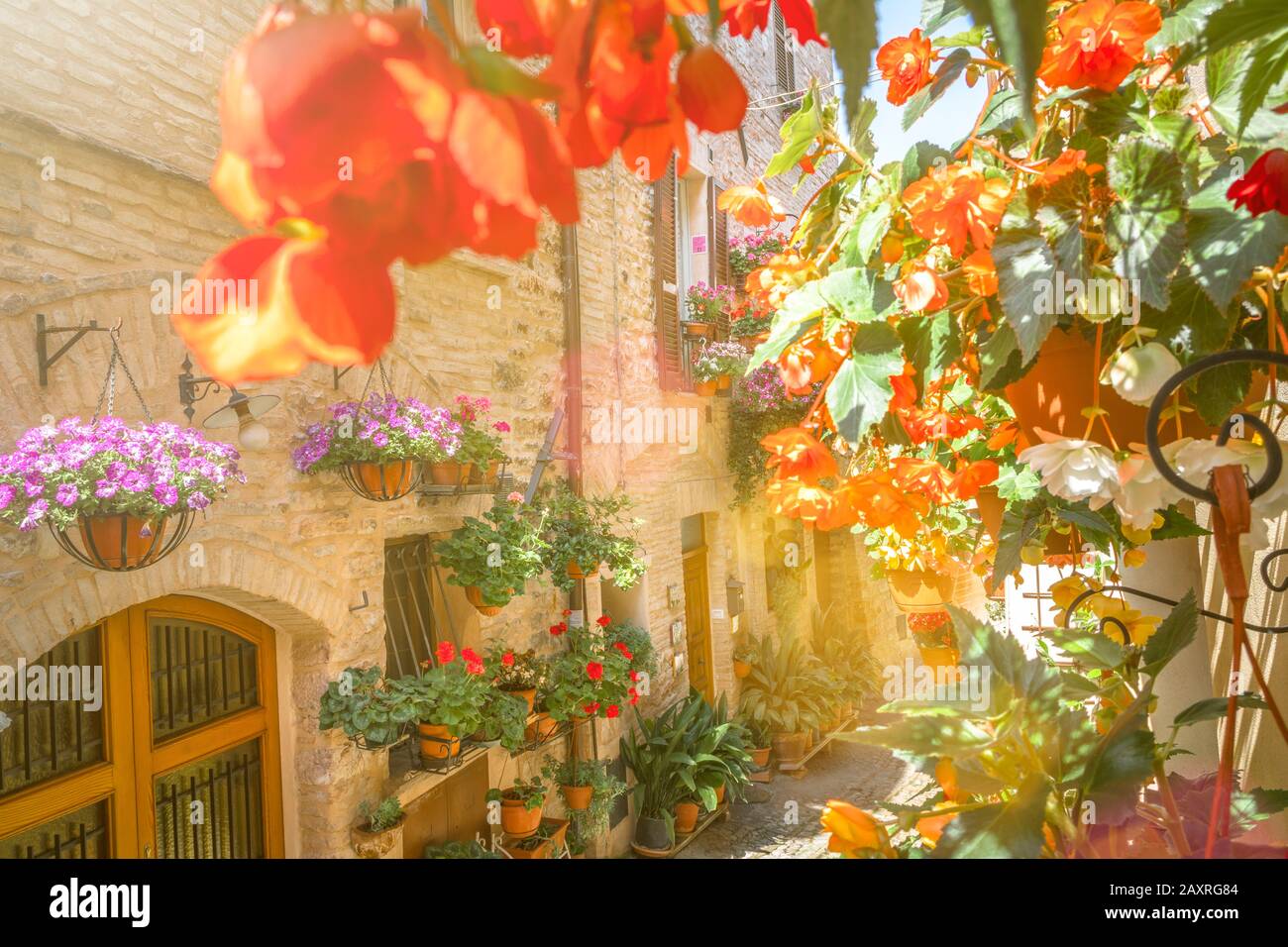 Flower splendor in Spello, Perugia province, Umbria, Italy Stock Photo