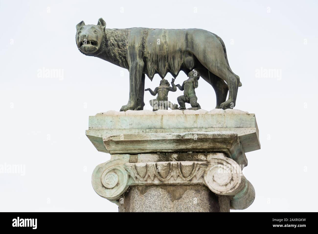 Roman she wolf hi-res stock photography and images - Alamy