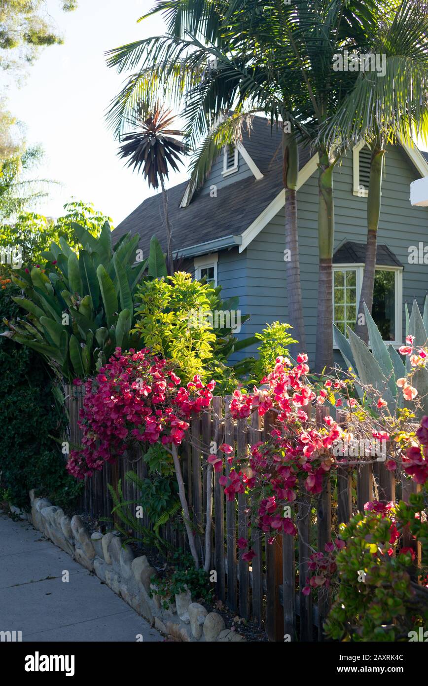 Classic California garden and landscaping example with common plants