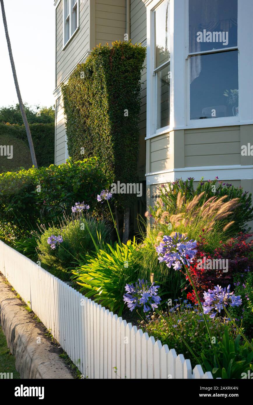 Classic California garden and landscaping example with common plants