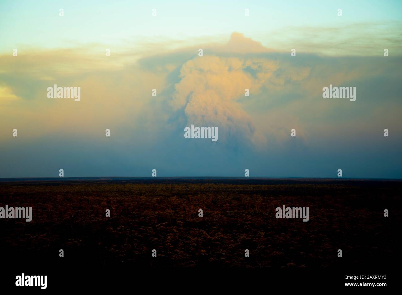 Bush Fires Smoke - Australia Stock Photo - Alamy