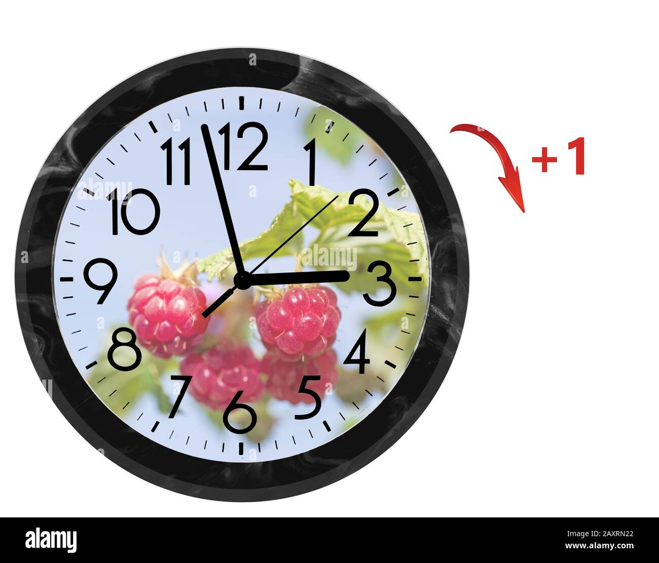 Daylight Saving Time (DST). Wall Clock going to summer time (+1). Turn time forward. Stock Photo