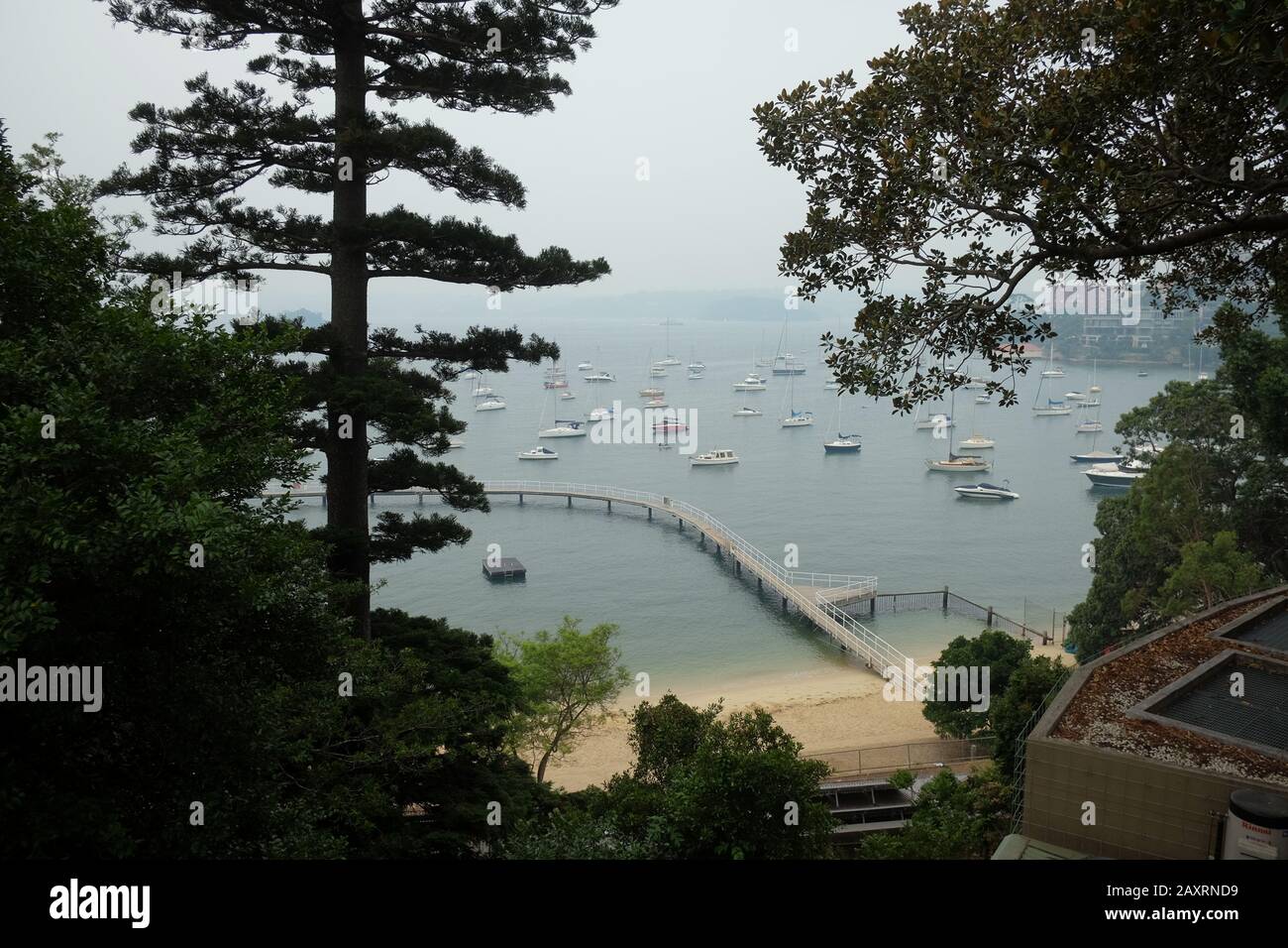 Climate Change Australia Looking through trees and bushfire smoke haze hanging over moored boats, Redleaf beach and Murray Rose pool on Sydney Harbour Stock Photo