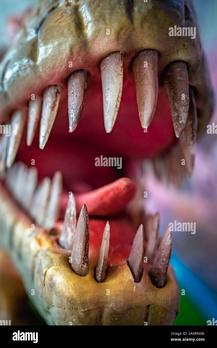 sharp teeth animals
