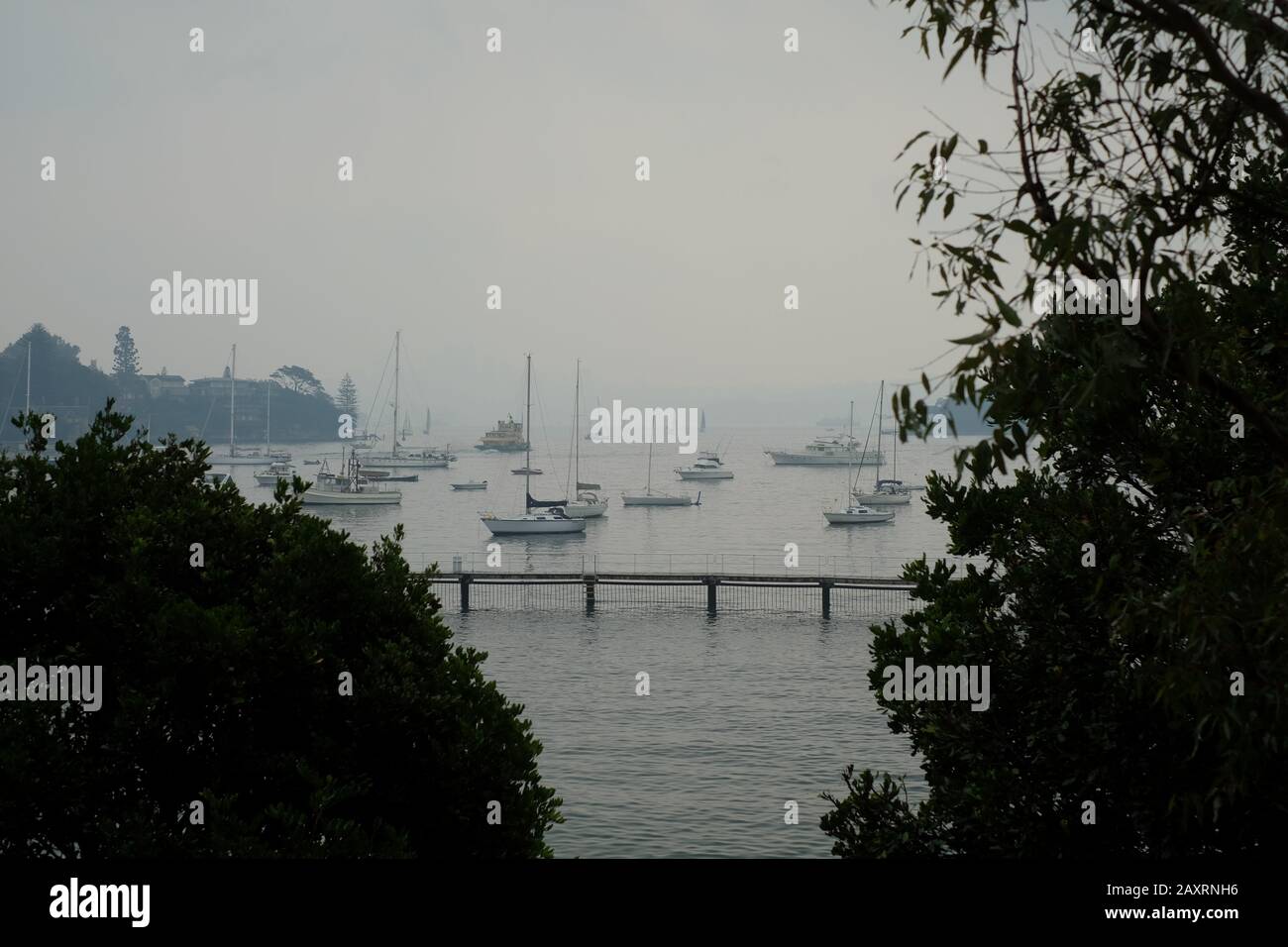 Climate Change Australia - Looking through trees and bushfire smoke haze hanging over moored boats, beach and Murray Rose pool on Sydney Harbour Stock Photo