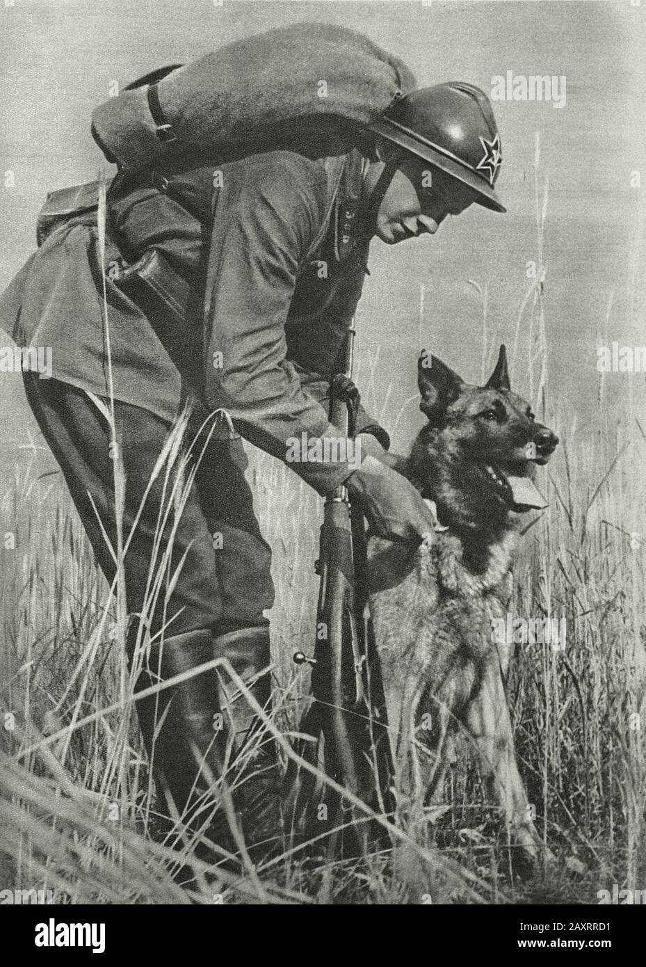 Red Army in 1930s. From soviet propaganda book of 1937. Signalman with a dog Stock Photo