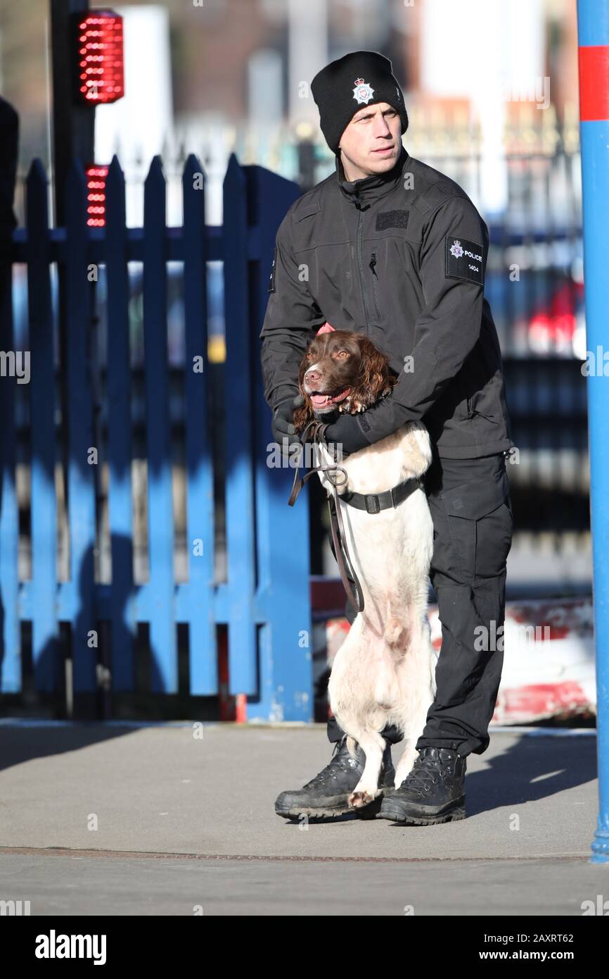Kings Lynn, UK. 11th Feb, 2020. A police officer with his search dog