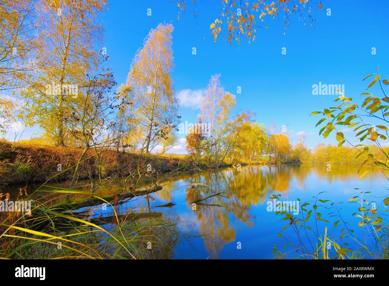 a small pond in Zittau Mountains, autumn Stock Photo