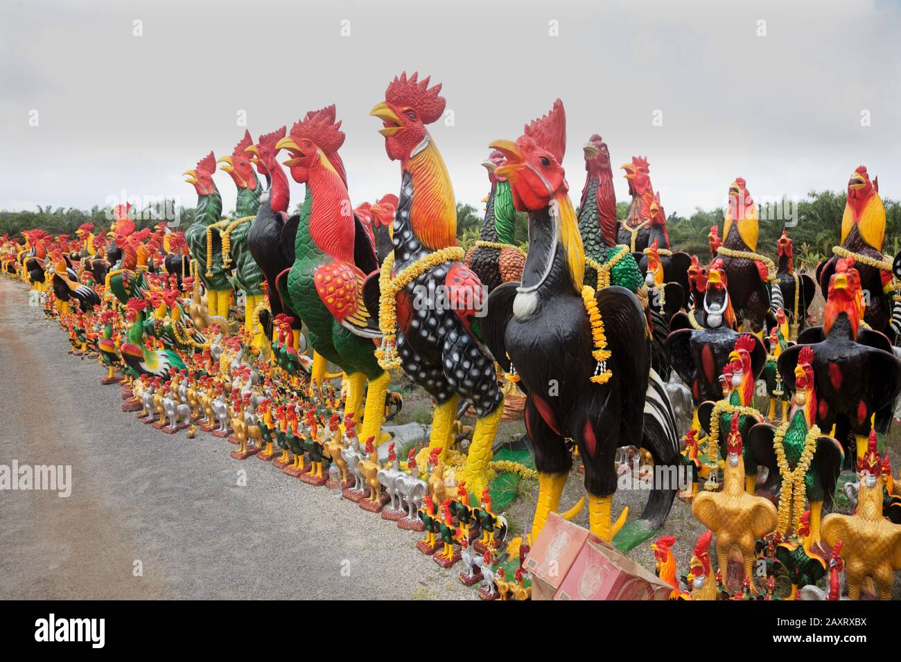 Ai Kai Hi Res Stock Photography And Images Alamy