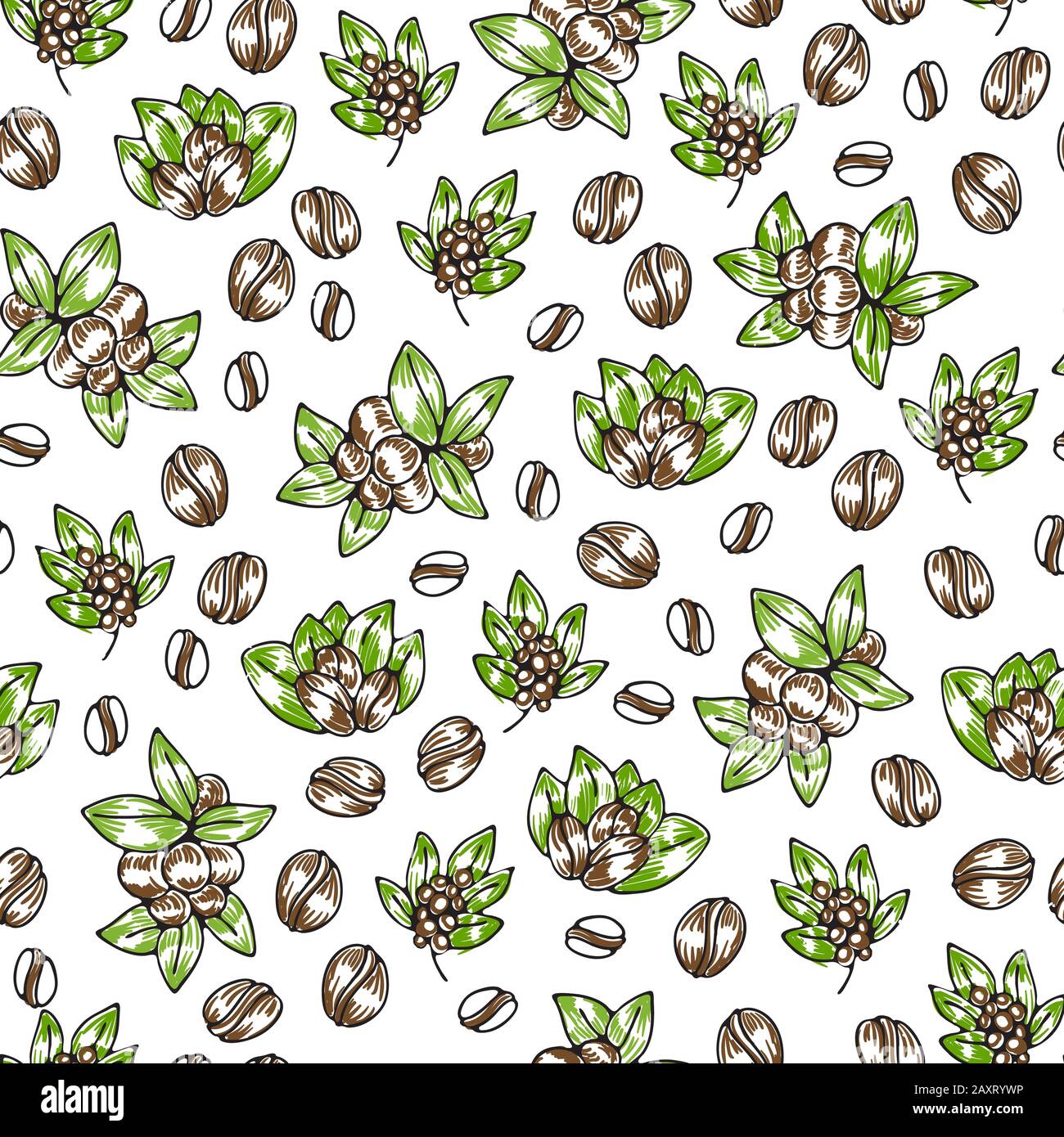 Seamless coffee background with branch of coffee and coffee beans. Hand ...
