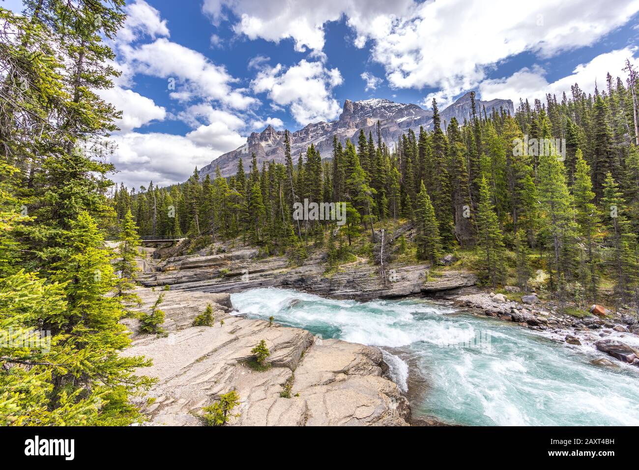 Wild water at Mistaya Canyon at Icefields Parkway, Alberta, Canada Stock Photo