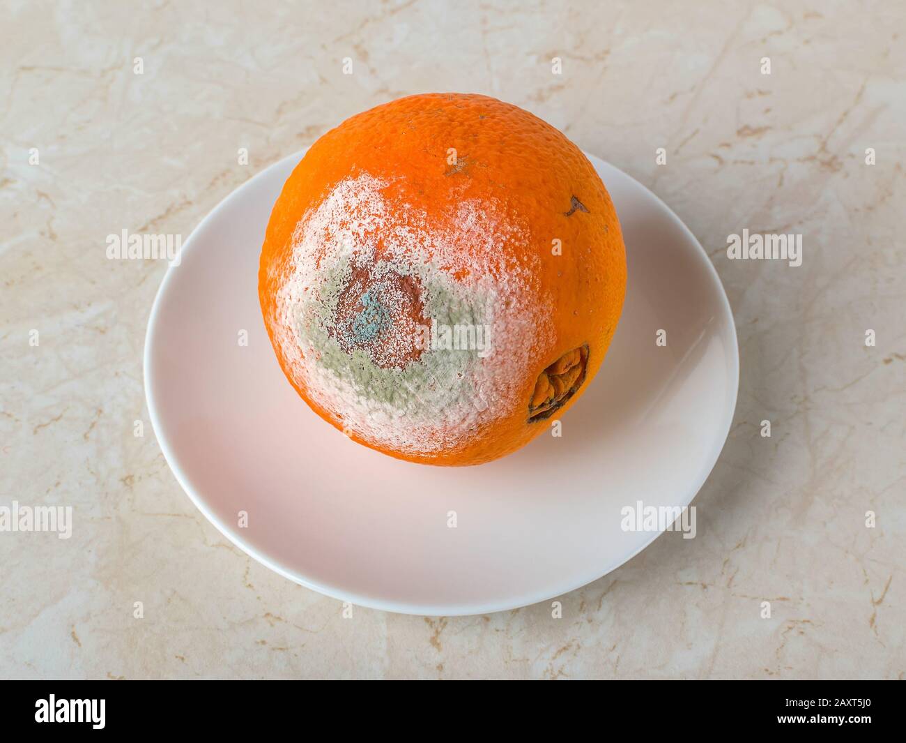 Stale Orange With White Green Mold On A Saucer Over A Kitchen Table
