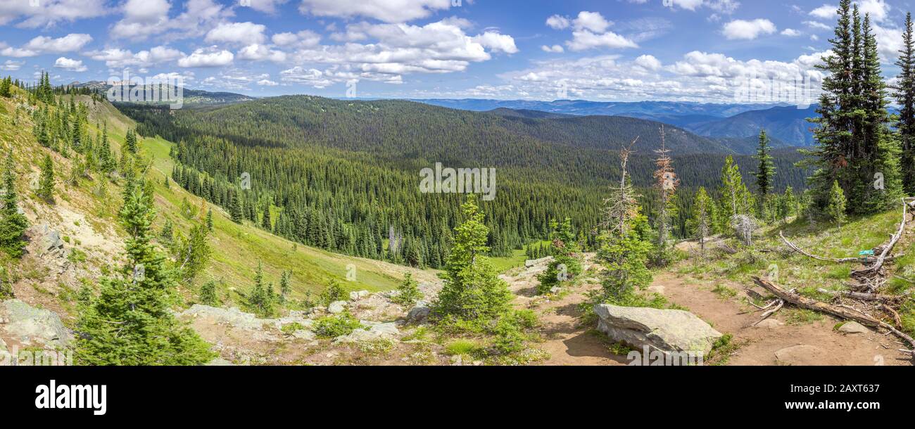 Panorama of Alpine Meadows at E. C. Manning Provincial Park, BC, Canada Stock Photo