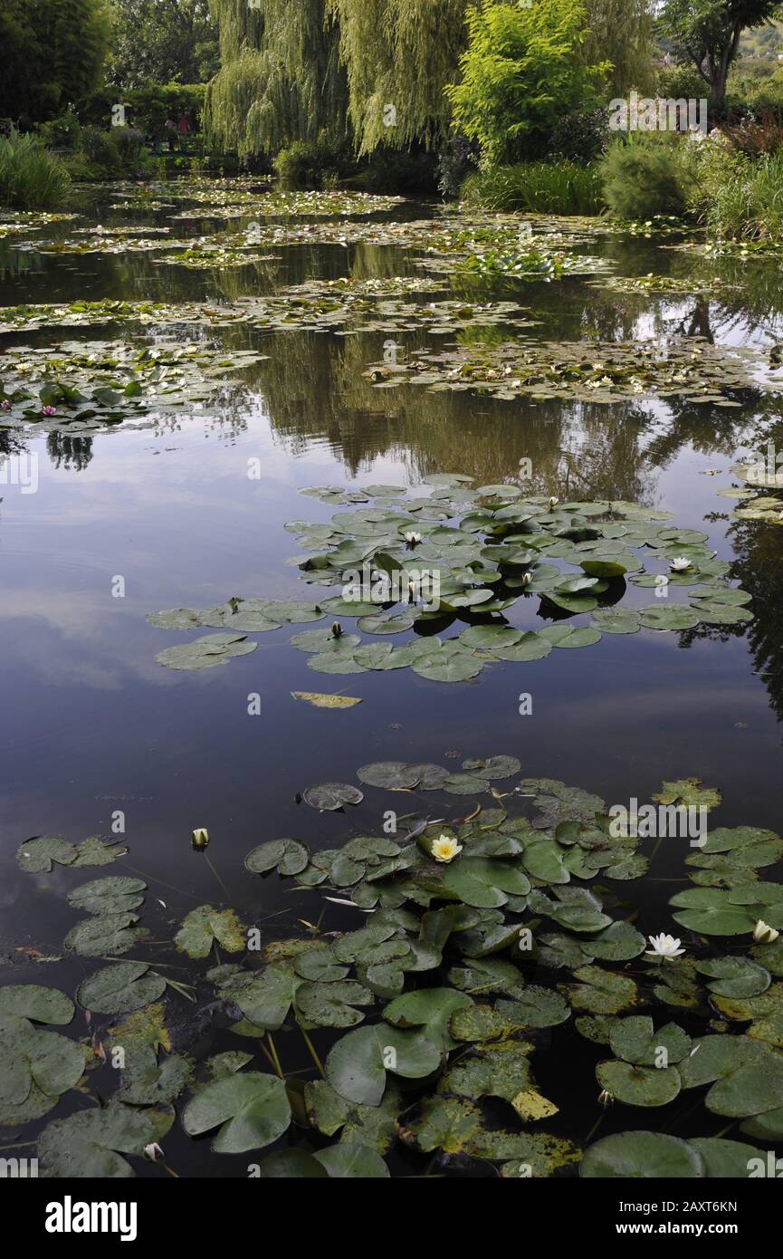 37+ Claude Monet Teich, Monet selbst nannte diese werke