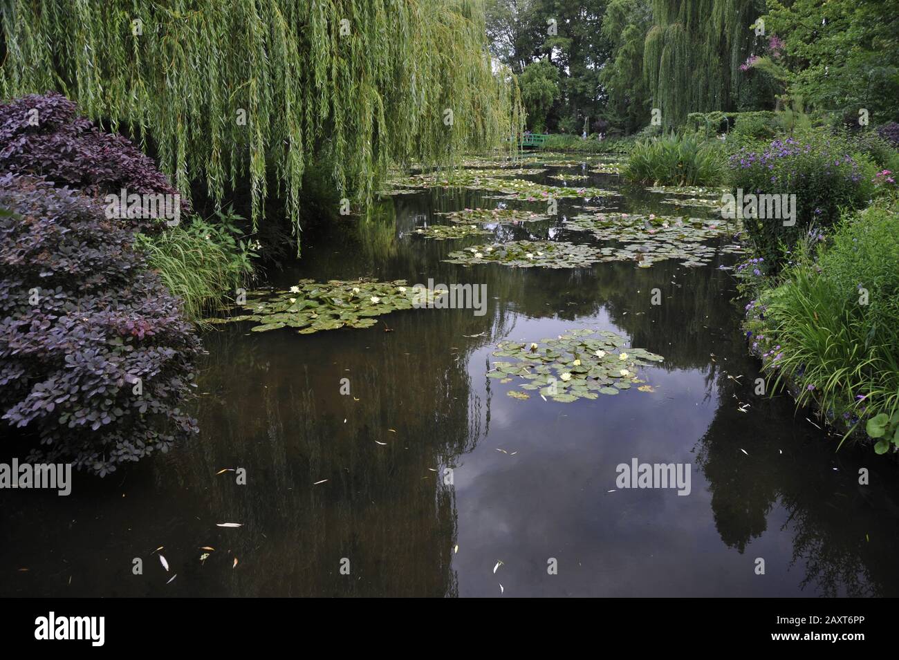 Giverny, Musée Claude Teich mit Seerosen Stock Photo Alamy