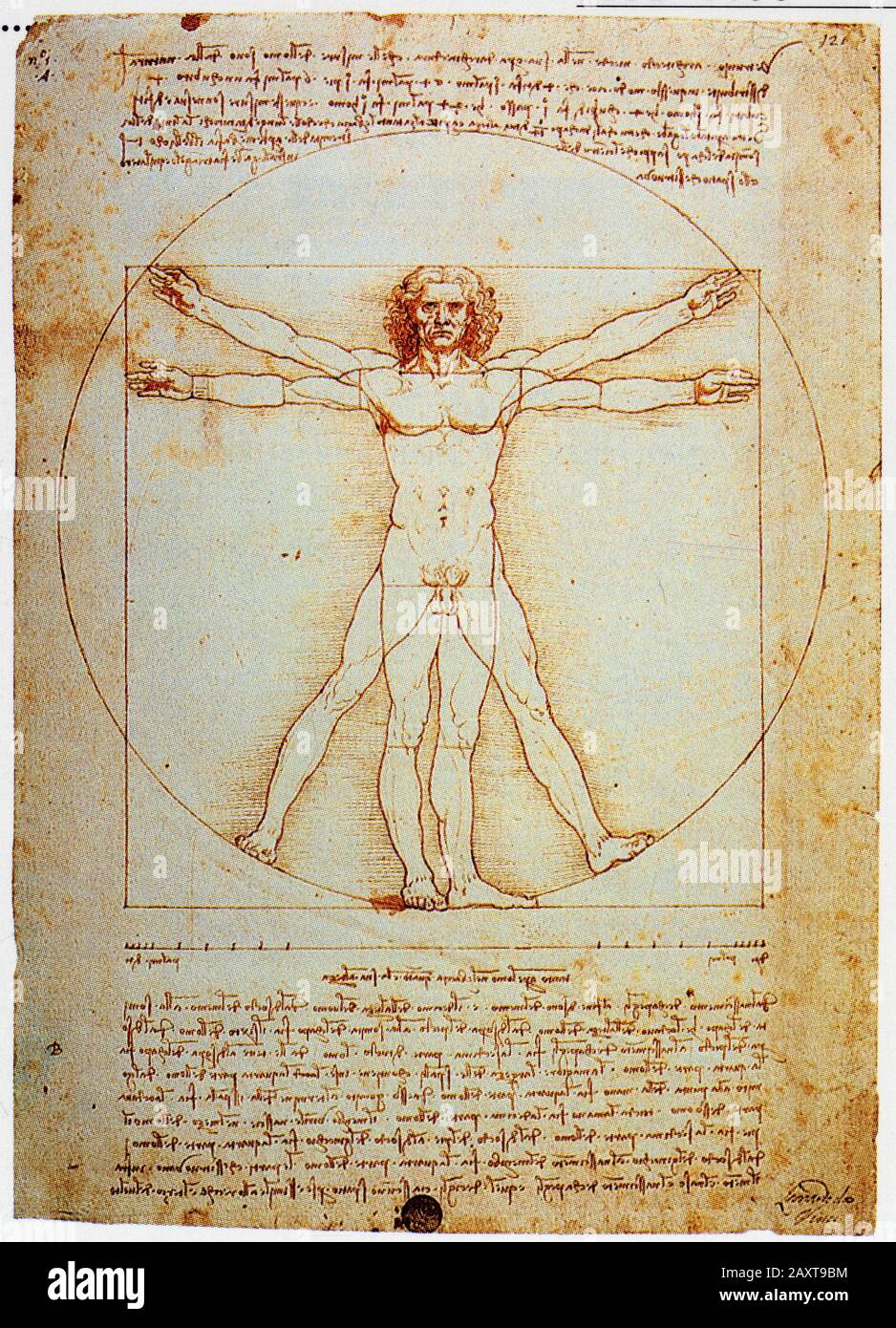 Leonardo da Vinci. Proportions of the human figure. Frontispiece to pacioli's de divina proportione. 1498 Stock Photo