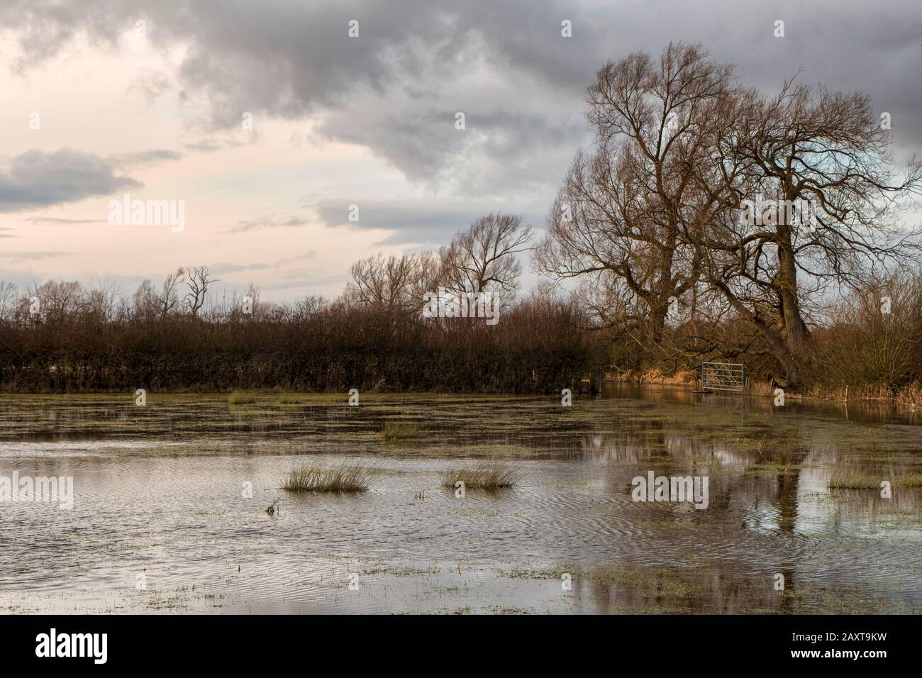 Flooded fields near the river Thames and Thames path near the town of Cricklade in Wiltshire Stock Photo
