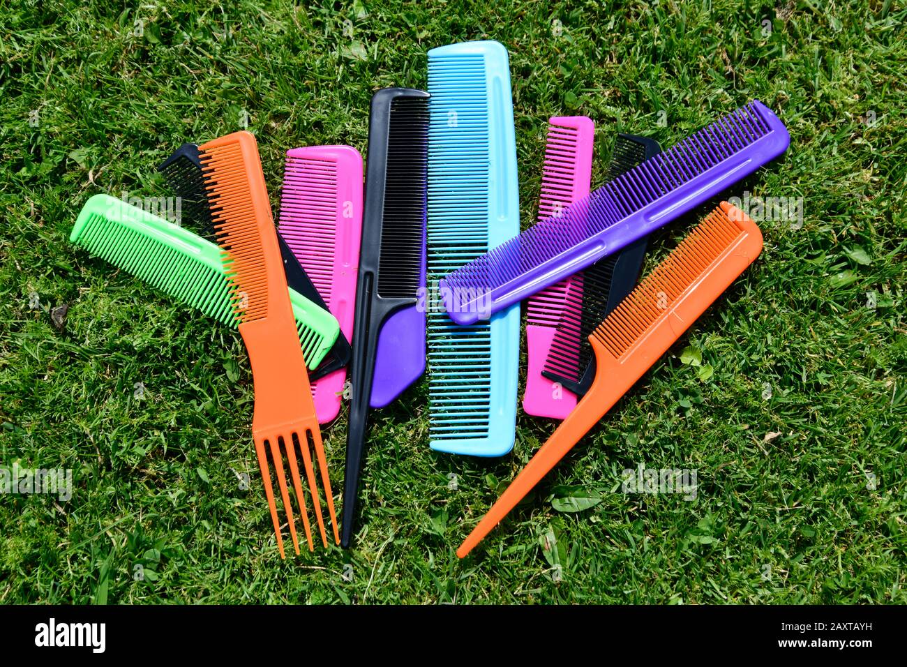 different types of comb in various colors Stock Photo Alamy