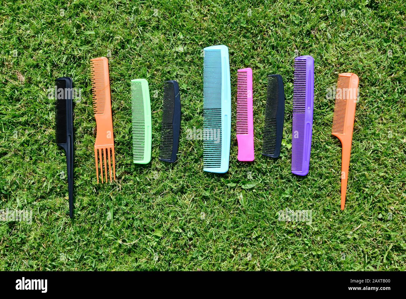 different types of comb in various colors Stock Photo Alamy