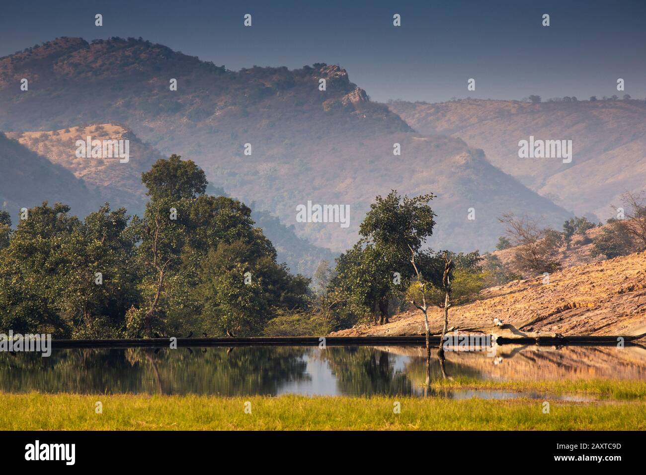 India, Rajasthan, Ranthambhore, National Park, Zone 1, Padam Talao lake Stock Photo
