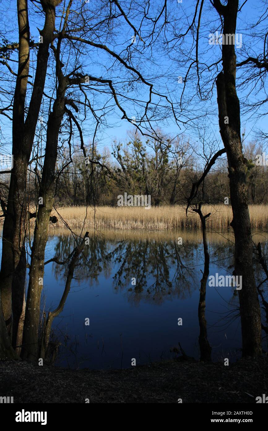 Stillwater lake hi-res stock photography and images - Alamy