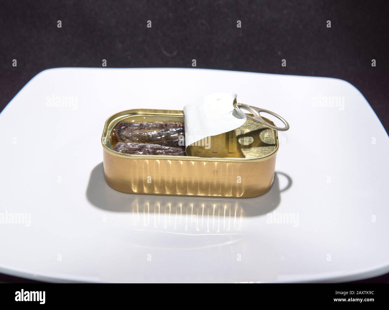 Conserve sardine a meal with high nutritional value and omega 3 Stock