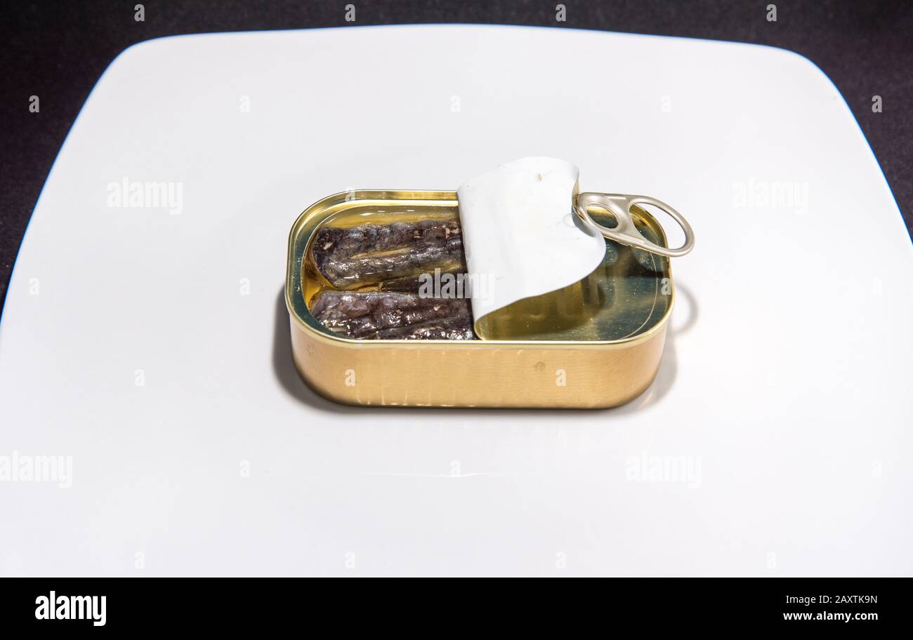 Conserve sardine a meal with high nutritional value and omega 3 Stock