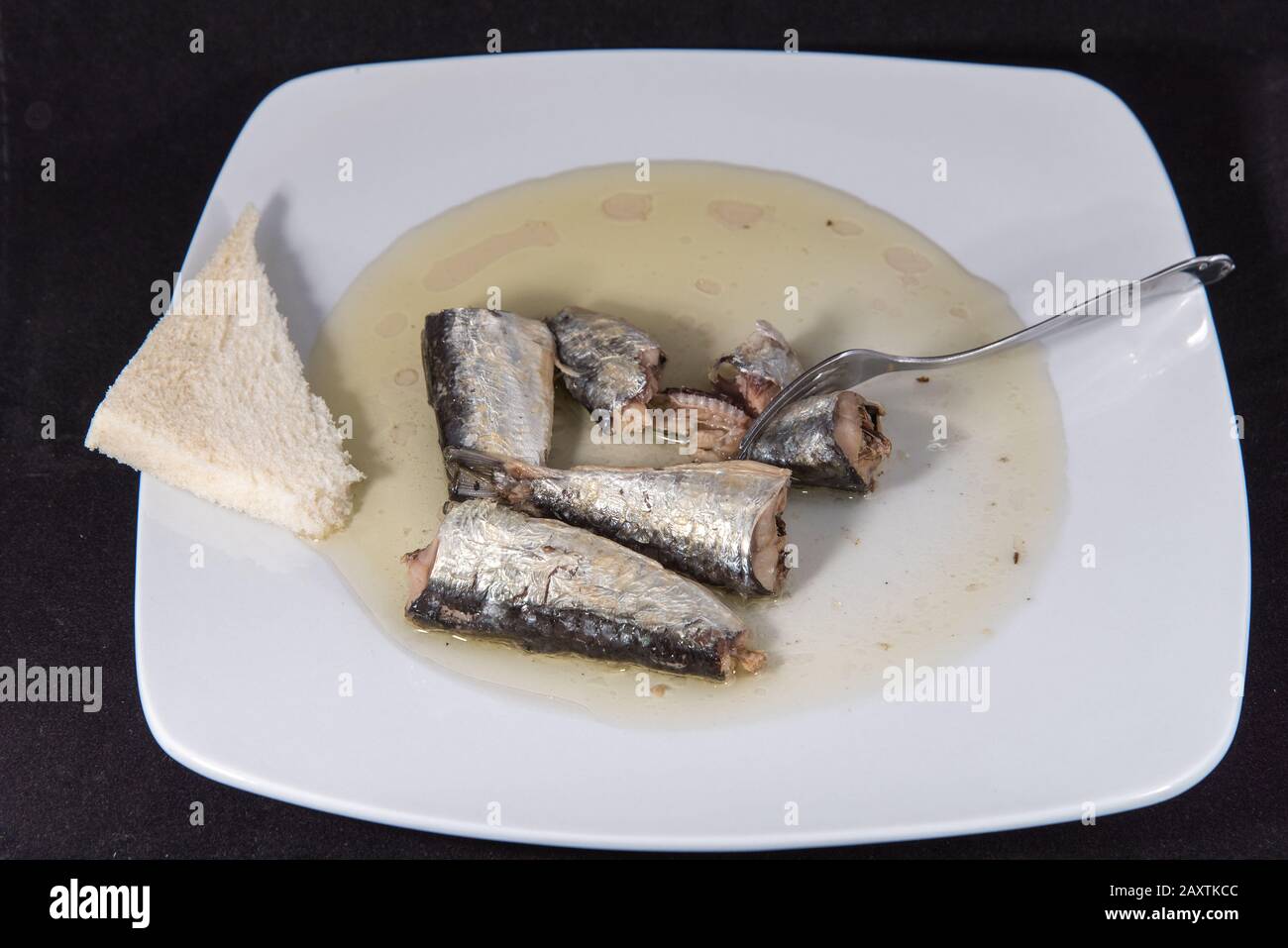 Conserve sardine a meal with high nutritional value and omega 3 Stock