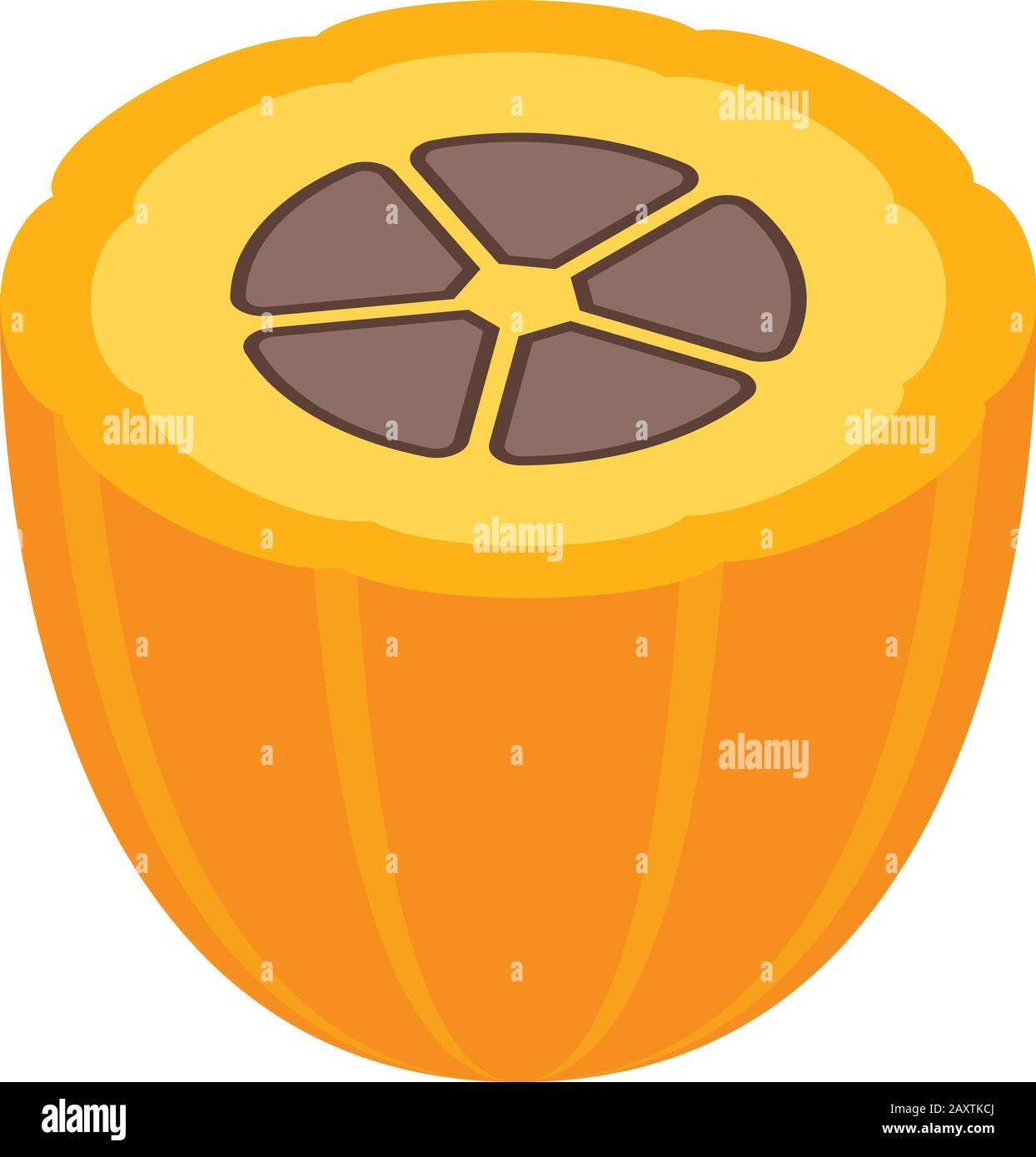 Half cocoa fruit icon, isometric style Stock Vector