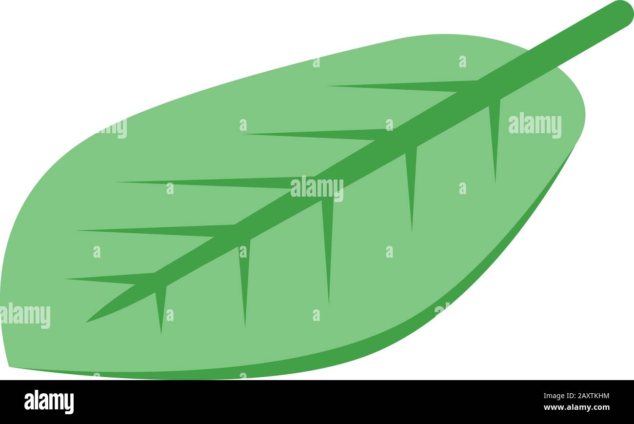 Cocoa leaf icon, isometric style Stock Vector