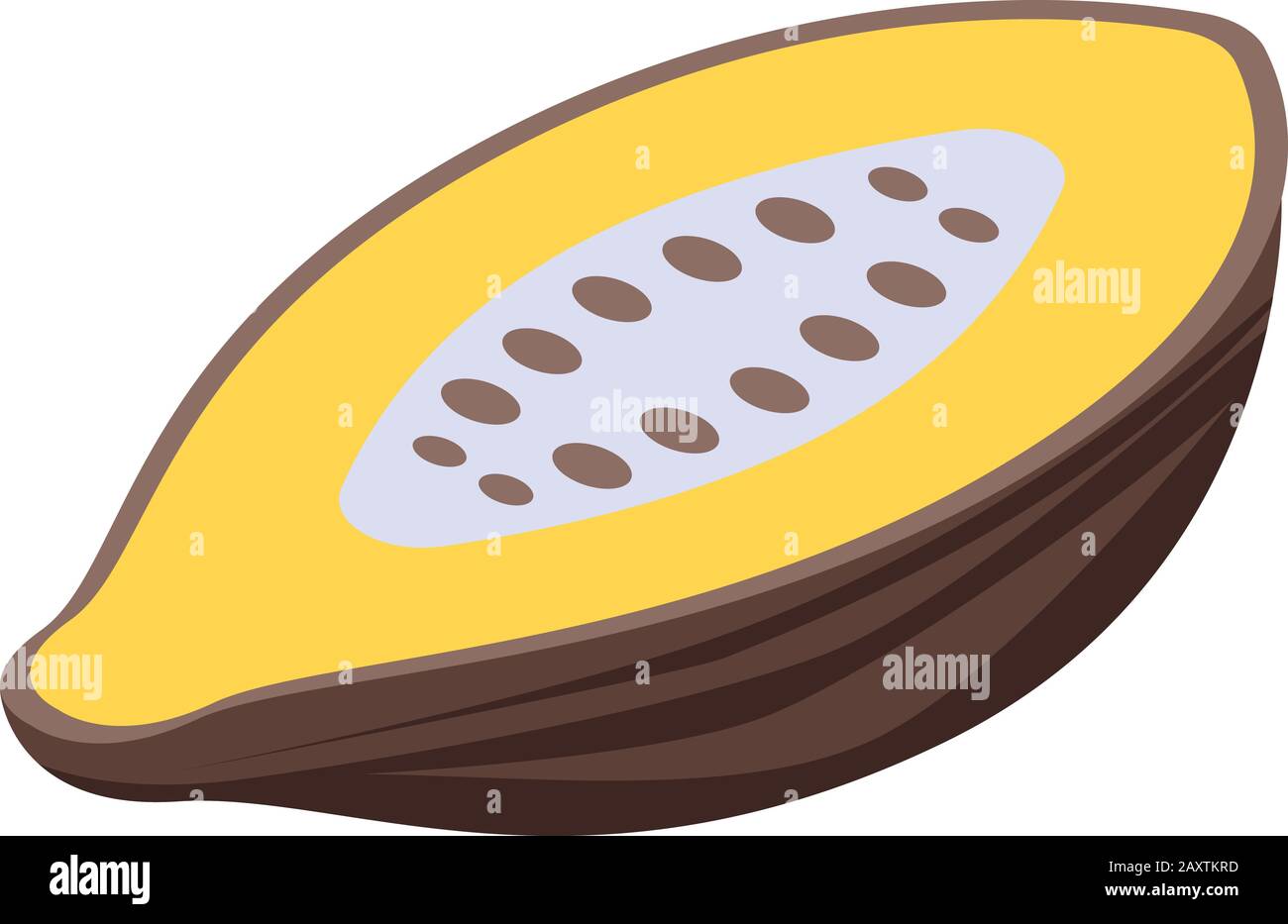 Cutted cocoa fruit icon, isometric style Stock Vector
