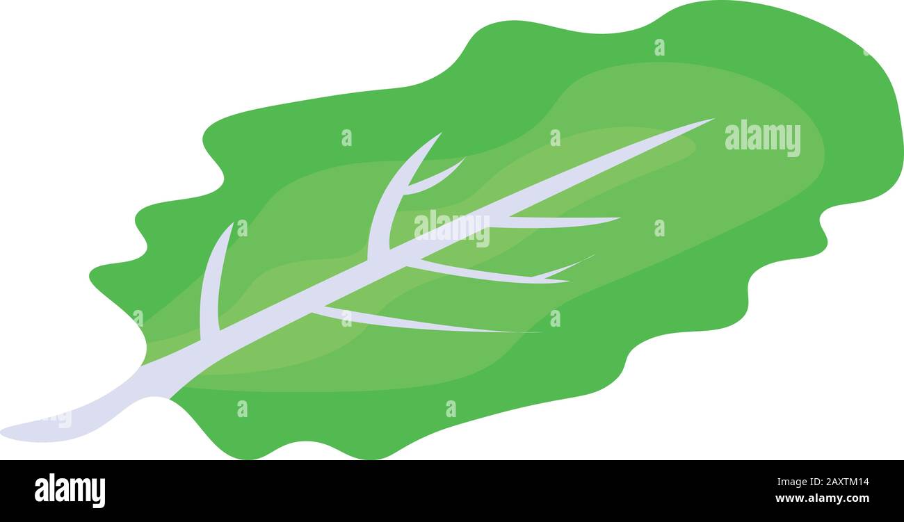 Burger green leaf icon, isometric style Stock Vector