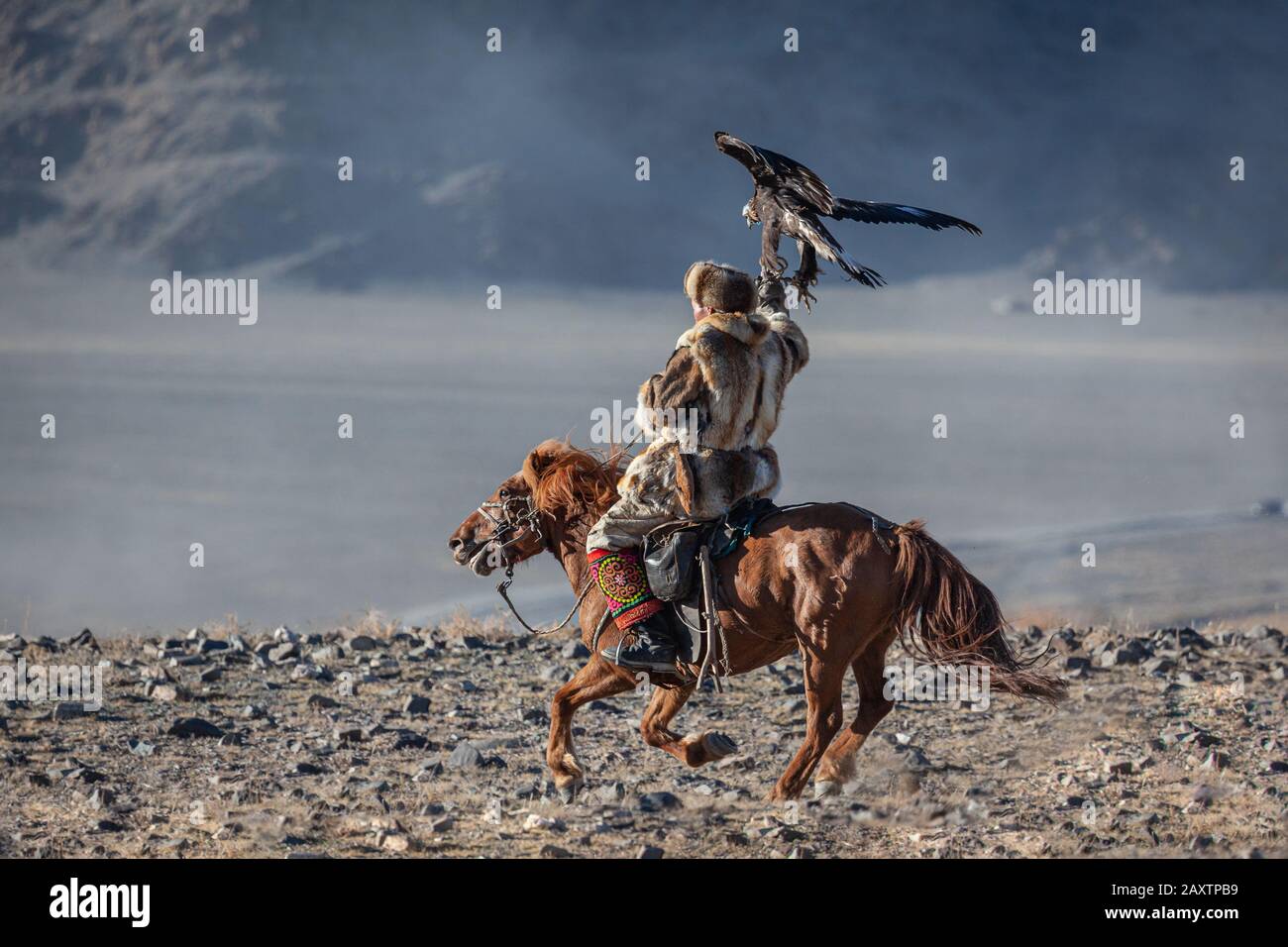 Kazakh berkut hunting western Mongolia Golden eagle festival horse