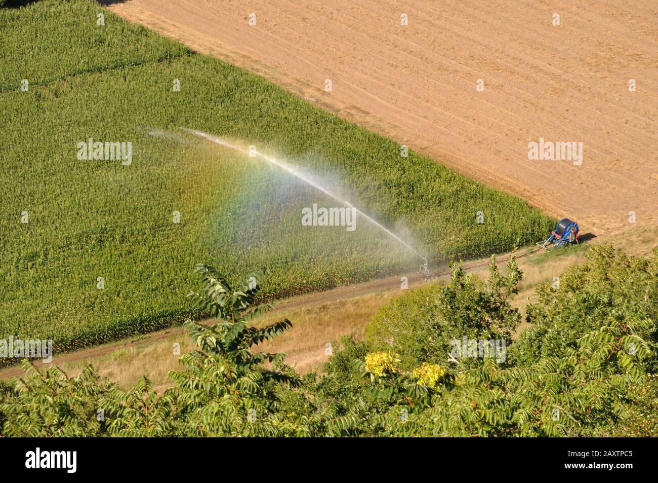 Water sprinkler installation in a field of maize, aerial view Stock