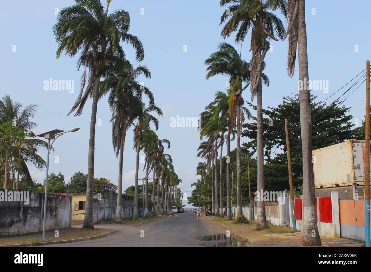 A street with palm trees in the city of Sao Tome. Stock Photo