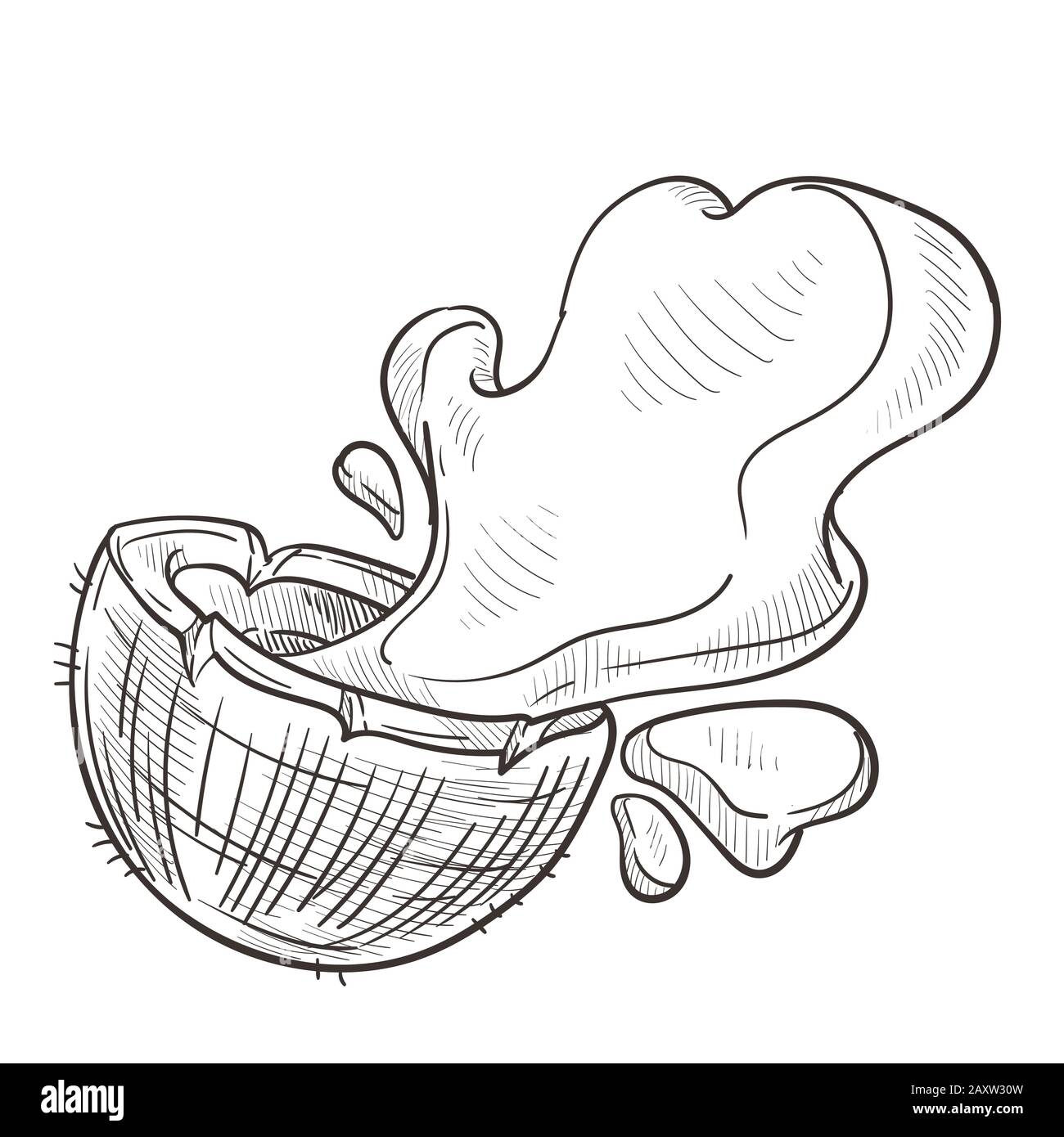 Coconut water splashing from cut open palm fruit hand drawing Stock