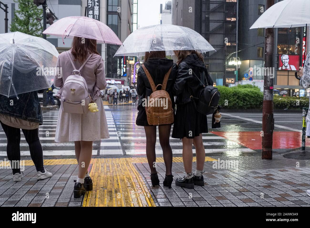 Japan, Tokyo: Japanese young girls viewed from behind waiting in front of a pedestrian crossing in Shinjuku. Japanese girls in the rain with umbrellas Stock Photo