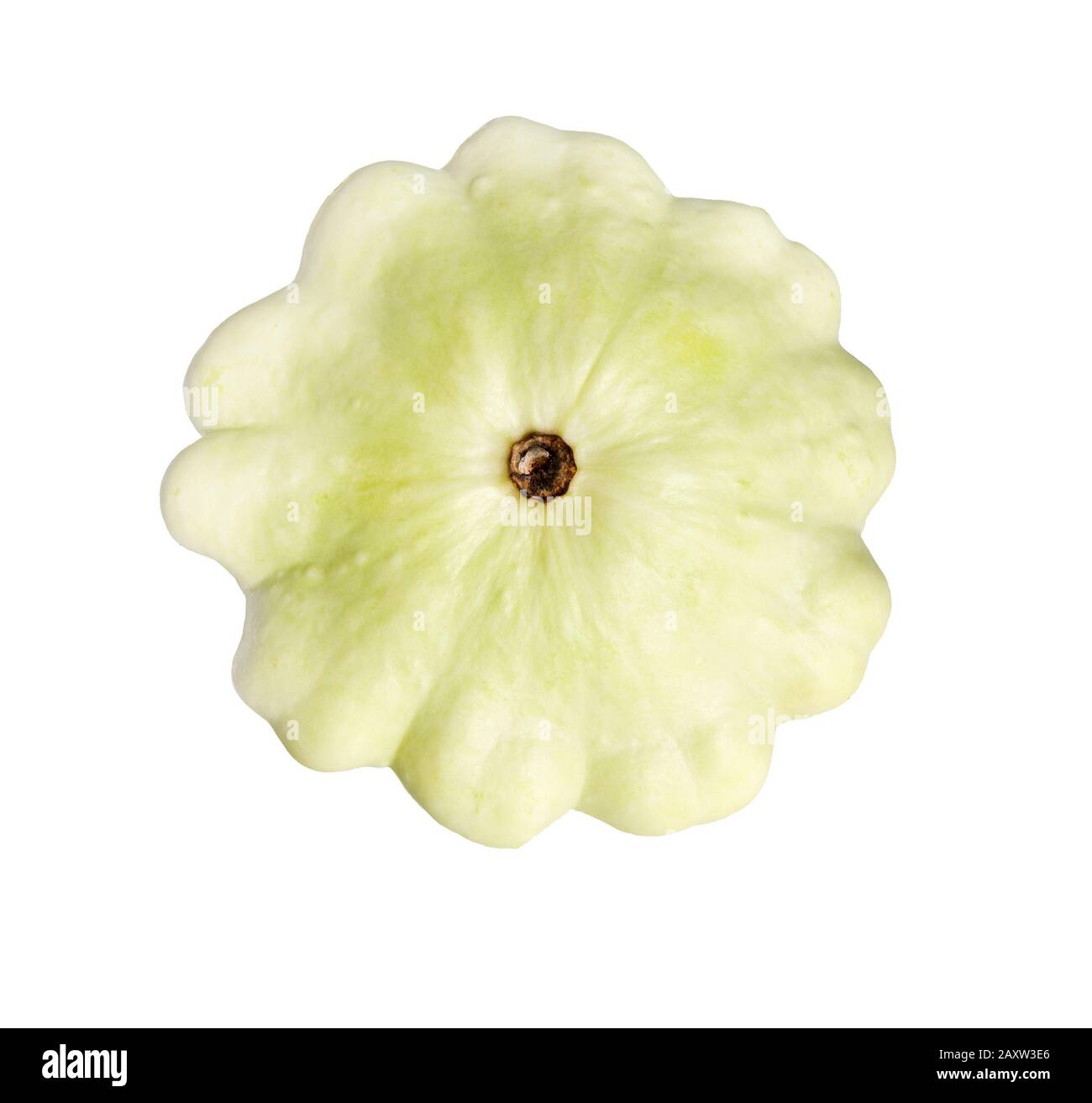Button Squash or Pattypan Squash isolated on a white background. Stock Photo