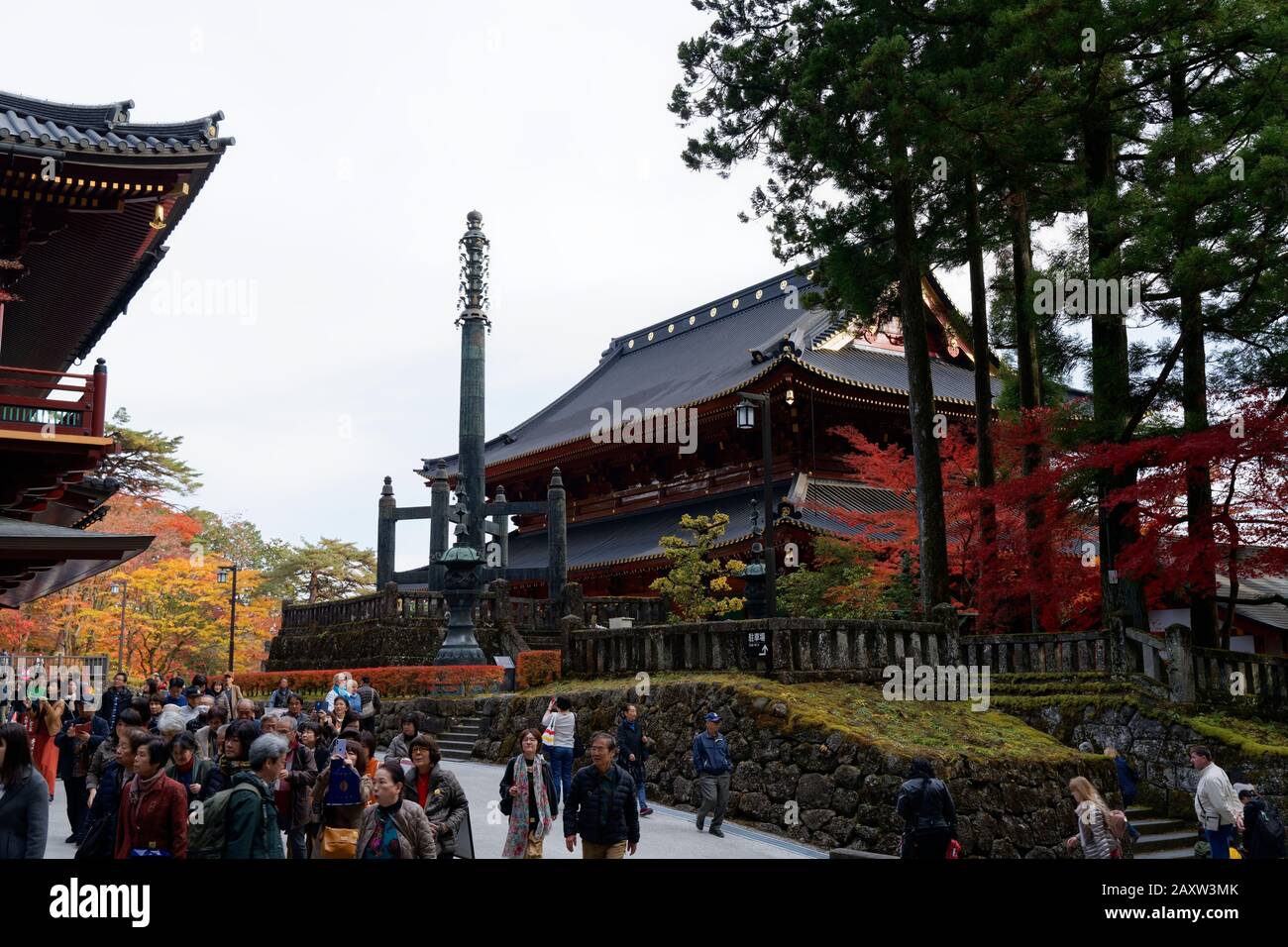 Colourful trees in autumn at Nikko, Japan shot on 60 megapixel camera ...