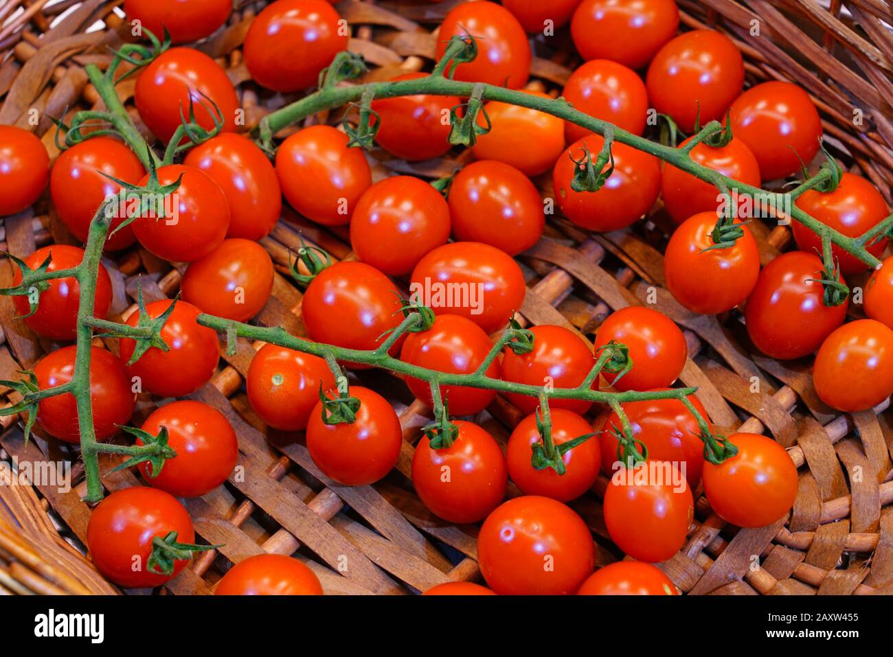 Branches of colorful tomatoes at the farmers market Stock Photo - Alamy