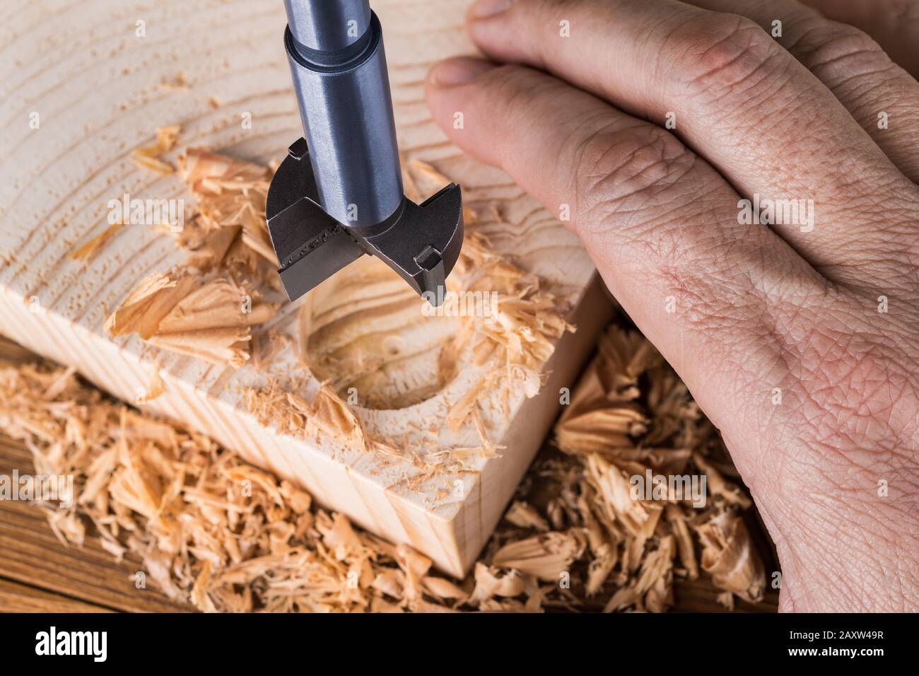 Forstner drill bit detail. Craftsman boring cylindric hole into wood. Hand of joiner on wooden plank, sharp steel cutting tool and scattered shavings. Stock Photo