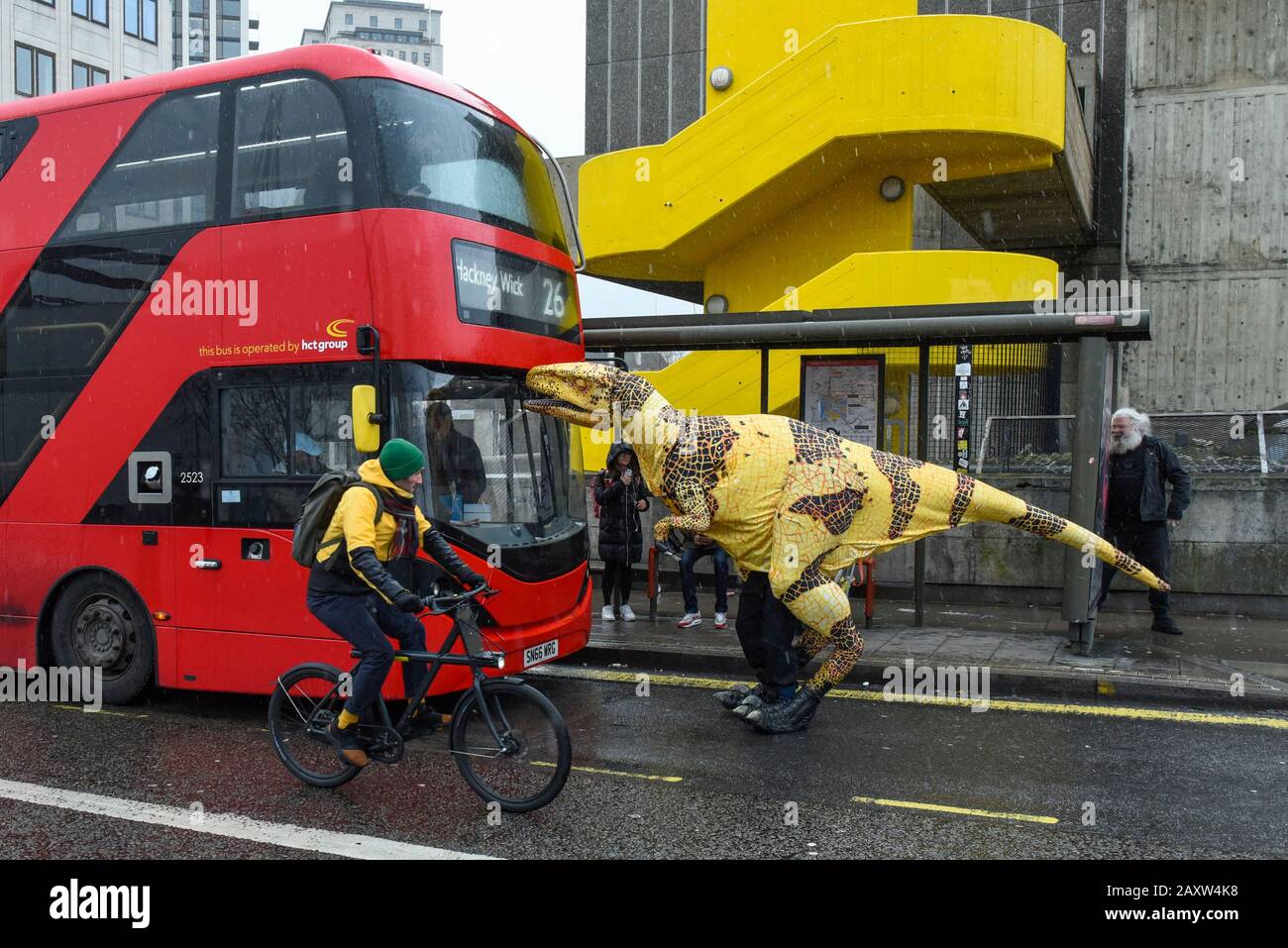 London, UK. 13 February 2020. A Fukui raptor attempts to board a double  decker bus. The raptor is from Erth's Dinosaur Zoo, one of the acts forming  part of Imagine Children's Festival