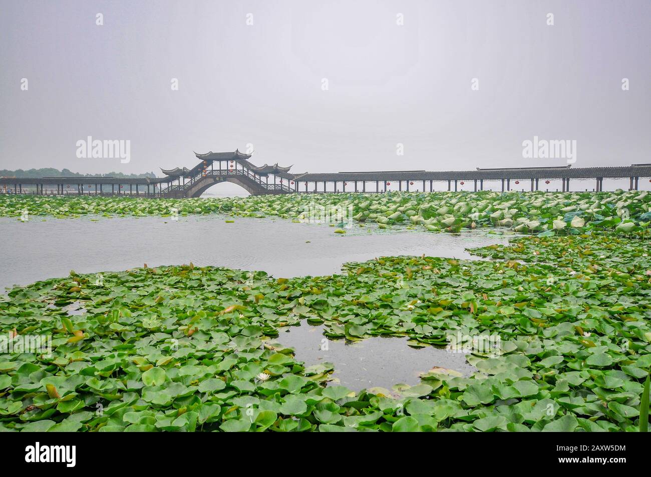 Jiangsu, Jiangsu, China. 13th Feb, 2020. JiangsuÃ¯Â¼Å'CHINA-In jinxi ancient town, kunshan city, Jiangsu province, the 100-meter-long covered bridge is a prominent landscape symbol of the ancient town. Credit: SIPA Asia/ZUMA Wire/Alamy Live News Stock Photo