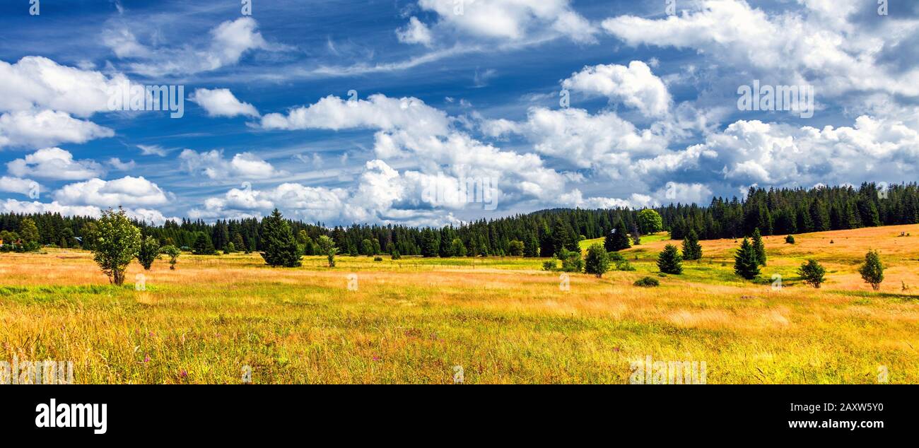 Summer Majestic mountains green grass field and blue sky with the incredible clouds Stock Photo