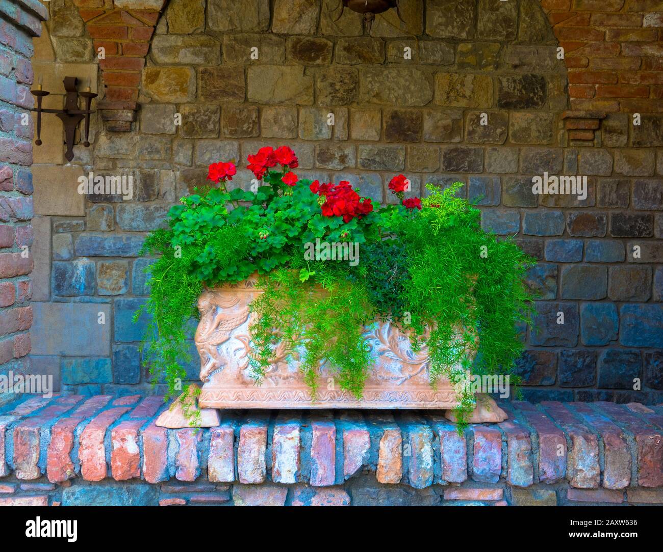 Flowers in the old trough in front of a brick wall Stock Photo Alamy