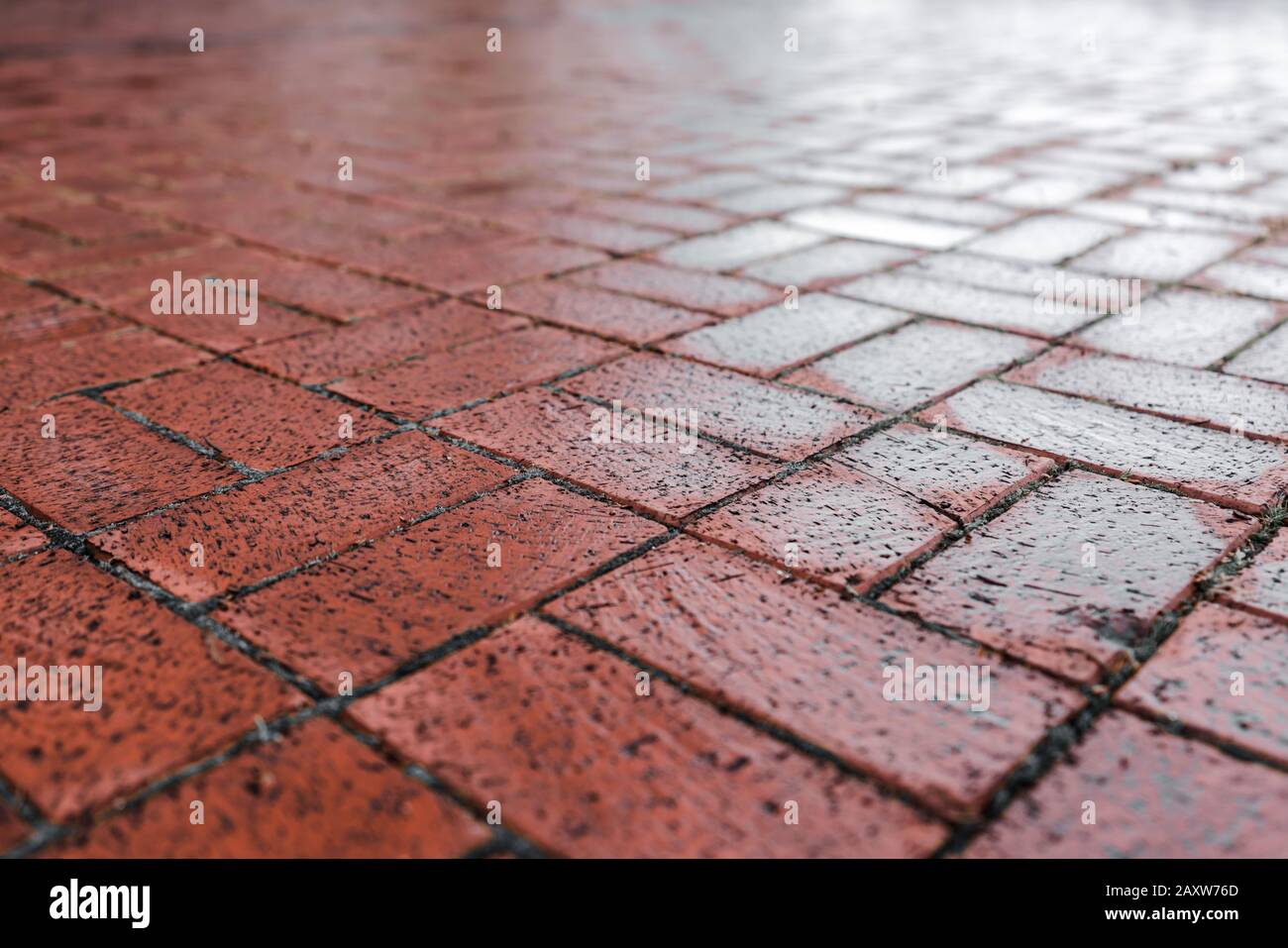 Brown cobble stone walkway get wet cause of rain. Pavement texture Stock Photo